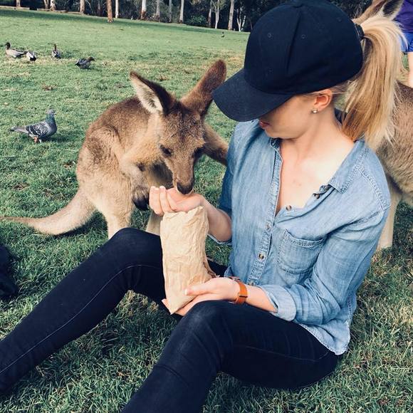 Meet your Posher, Abby - Picture 1 of 1